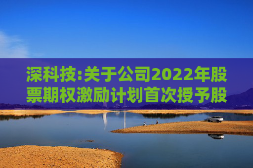 深科技:关于公司2022年股票期权激励计划首次授予股票期权第一个行权期行权条件成就的公告  第1张