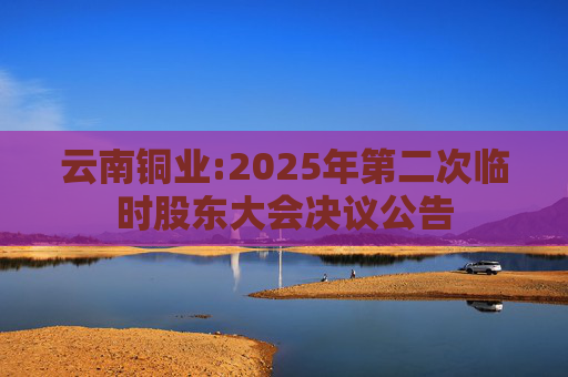 云南铜业:2025年第二次临时股东大会决议公告
