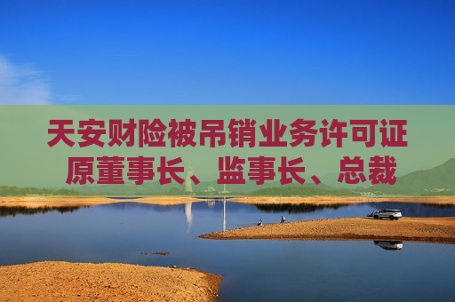 天安财险被吊销业务许可证 原董事长、监事长、总裁等均被罚  第1张