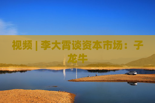 视频 | 李大霄谈资本市场：子龙牛