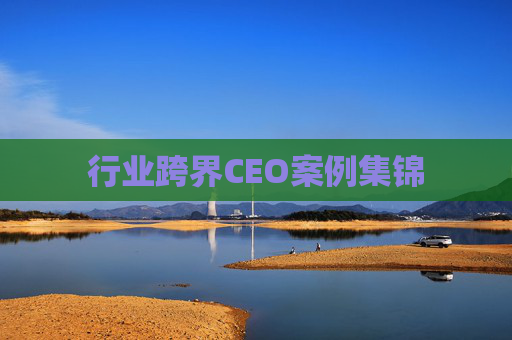行业跨界CEO案例集锦  第1张