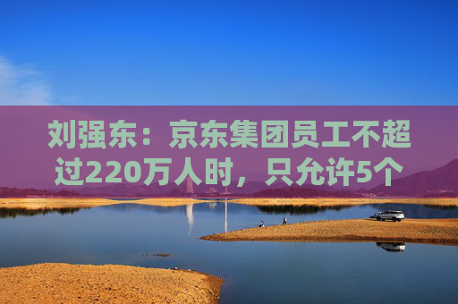 刘强东：京东集团员工不超过220万人时，只允许5个组织层级  第1张