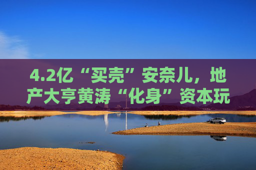 4.2亿“买壳”安奈儿，地产大亨黄涛“化身”资本玩家