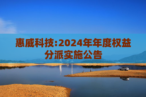 惠威科技:2024年年度权益分派实施公告