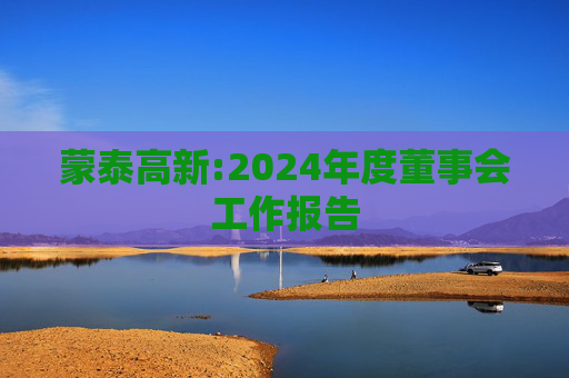 蒙泰高新:2024年度董事会工作报告