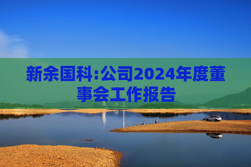 新余国科:公司2024年度董事会工作报告