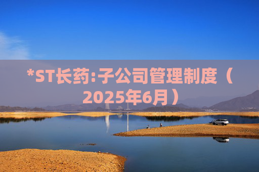 *ST长药:子公司管理制度（2025年6月）  第1张