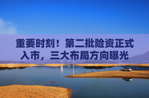 重要时刻！第二批险资正式入市，三大布局方向曝光