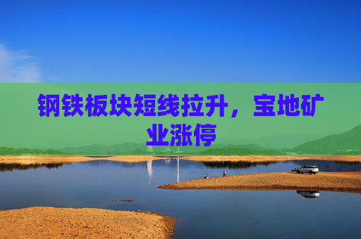 钢铁板块短线拉升，宝地矿业涨停