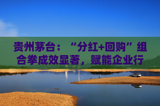 贵州茅台：“分红+回购”组合拳成效显著，赋能企业行稳致远