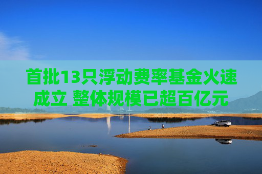 首批13只浮动费率基金火速成立 整体规模已超百亿元