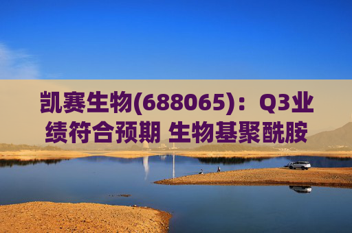 凯赛生物(688065):Q3业绩符合预期 生物基聚酰胺复材商业化持续推进  第1张 凯赛生物(688065):Q3业绩符合预期 生物基聚酰胺复材商业化持续推进  第1张