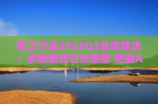 轻工行业2025Q3业绩综述：多数板块已处底部 把握Α布局机遇  第1张