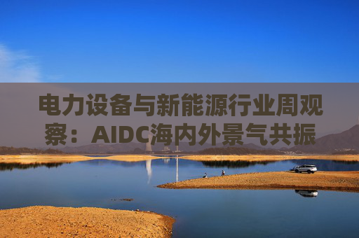 电力设备与新能源行业周观察：AIDC海内外景气共振 储能需求向好发展