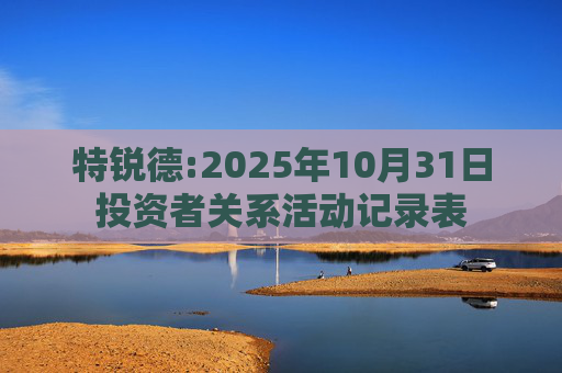 特锐德:2025年10月31日投资者关系活动记录表