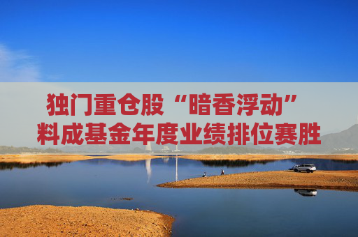 独门重仓股“暗香浮动” 料成基金年度业绩排位赛胜负手