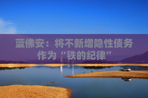 蓝佛安：将不新增隐性债务作为“铁的纪律”