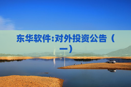 东华软件:对外投资公告（一）