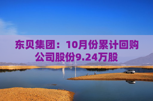 东贝集团：10月份累计回购公司股份9.24万股