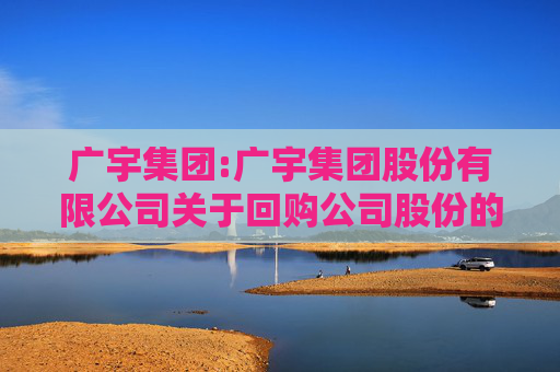 广宇集团:广宇集团股份有限公司关于回购公司股份的进展公告