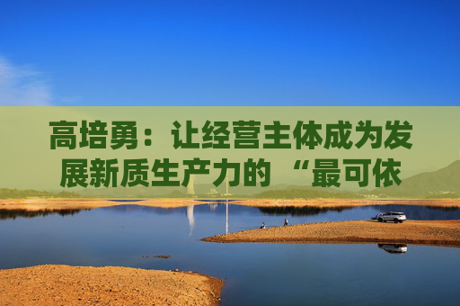 高培勇：让经营主体成为发展新质生产力的 “最可依靠力量”