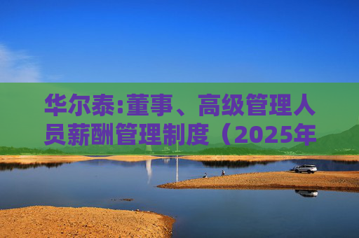 华尔泰:董事、高级管理人员薪酬管理制度（2025年11月）