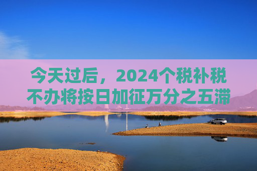 今天过后，2024个税补税不办将按日加征万分之五滞纳金