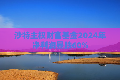 沙特主权财富基金2024年净利润暴跌60%