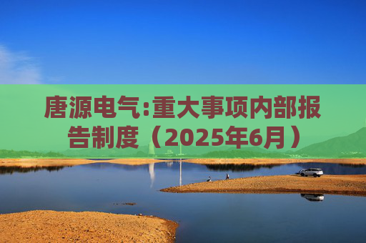 唐源电气:重大事项内部报告制度（2025年6月）  第1张