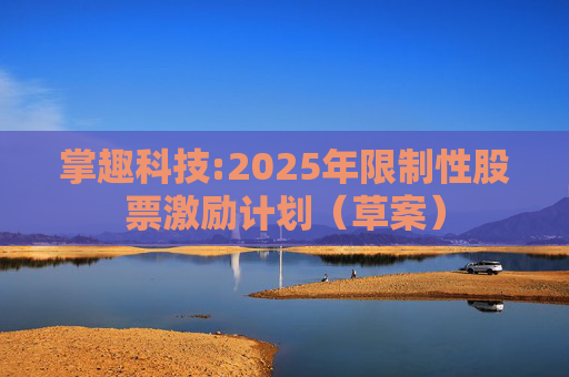 掌趣科技:2025年限制性股票激励计划（草案）  第1张