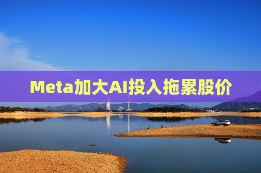 Meta加大AI投入拖累股价  第1张