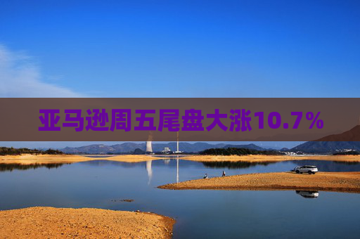 亚马逊周五尾盘大涨10.7%  第1张