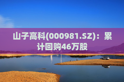 山子高科(000981.SZ)：累计回购46万股