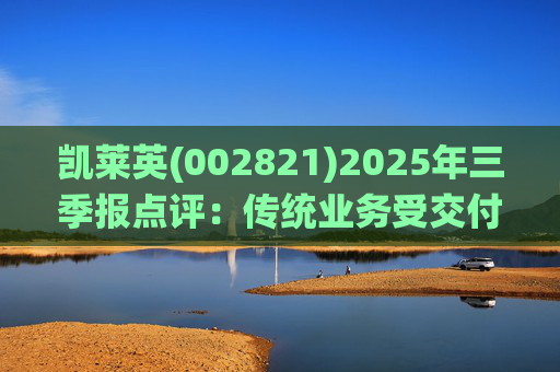 凯莱英(002821)2025年三季报点评：传统业务受交付节奏影响 新兴业务加速放量