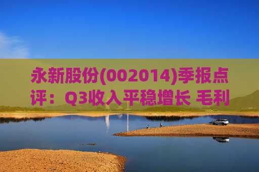 永新股份(002014)季报点评：Q3收入平稳增长 毛利率企稳回升