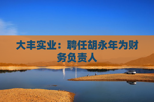 大丰实业：聘任胡永年为财务负责人