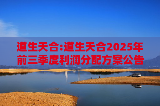 道生天合:道生天合2025年前三季度利润分配方案公告