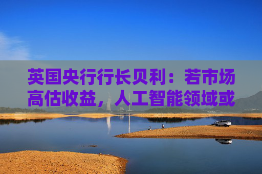 英国央行行长贝利：若市场高估收益，人工智能领域或存泡沫风险