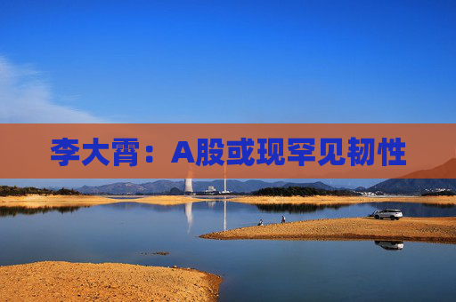 李大霄：A股或现罕见韧性