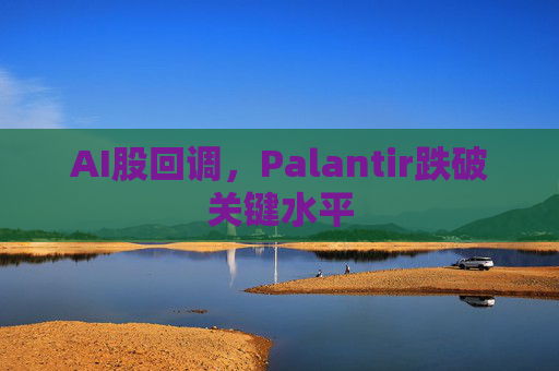 AI股回调，Palantir跌破关键水平