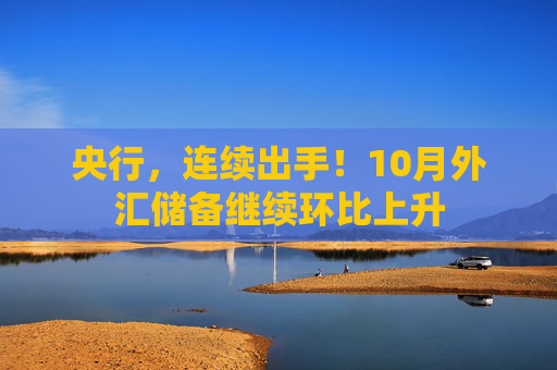 央行，连续出手！10月外汇储备继续环比上升