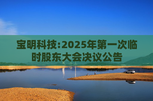 宝明科技:2025年第一次临时股东大会决议公告