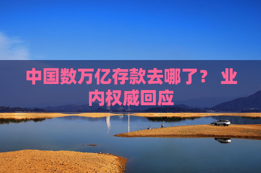 中国数万亿存款去哪了？ 业内权威回应  第1张