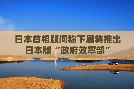 日本首相顾问称下周将推出日本版“政府效率部”