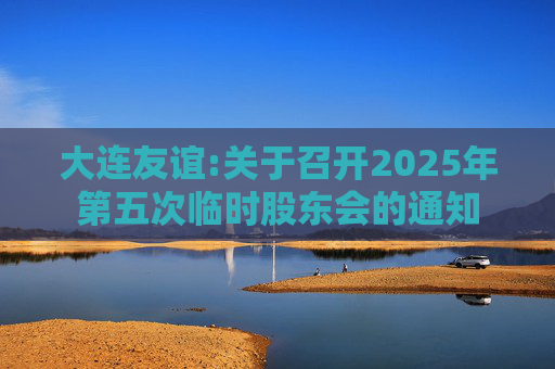 大连友谊:关于召开2025年第五次临时股东会的通知