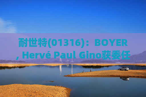 耐世特(01316)：BOYER, Hervé Paul Gino获委任为执行董事