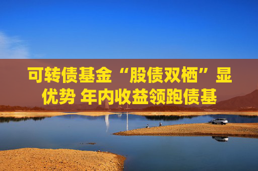 可转债基金“股债双栖”显优势 年内收益领跑债基