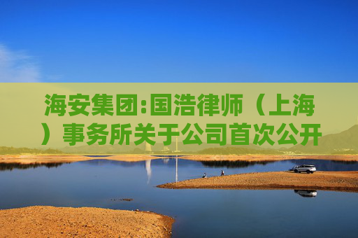 海安集团:国浩律师（上海）事务所关于公司首次公开发行股票并在主板上市的法律意见书