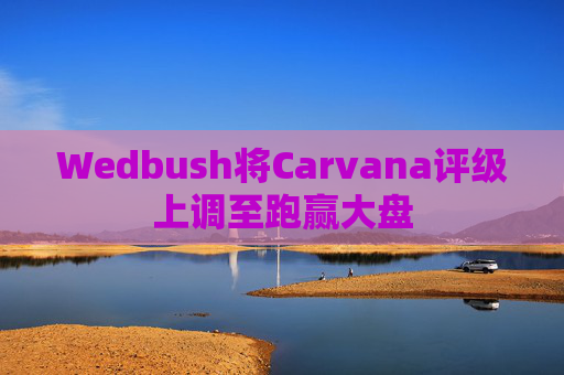 Wedbush将Carvana评级上调至跑赢大盘