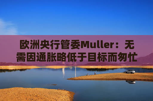 欧洲央行管委Muller：无需因通胀略低于目标而匆忙降息  第1张